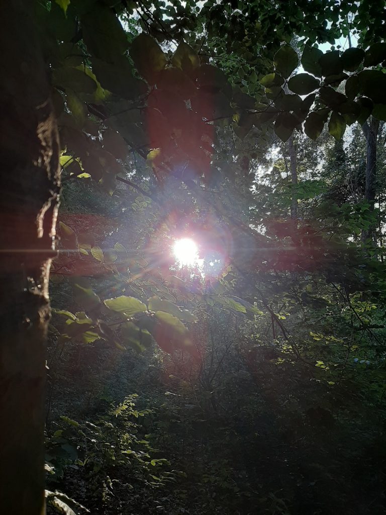 Blog